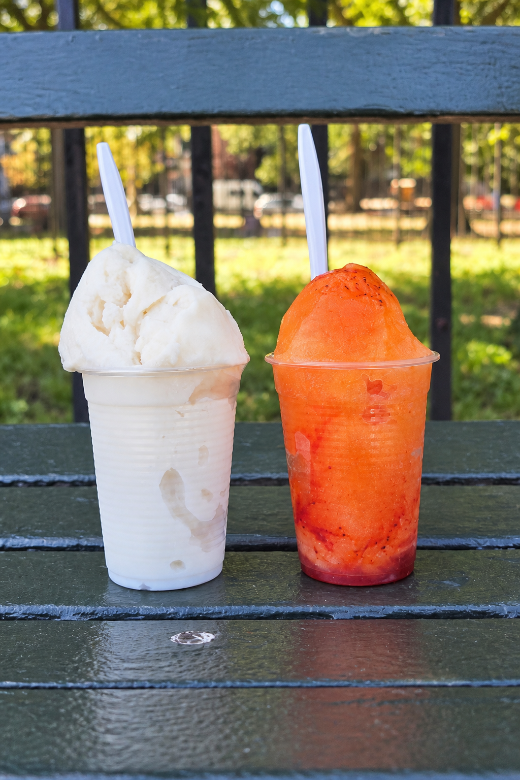 Coconut and cantaloupe nieves from Don Fidel's near Maria Hernandez Park