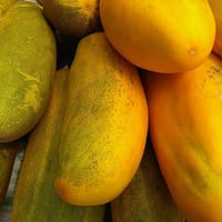 Cucumber