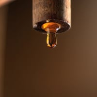 Fish Sauce