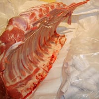 Lamb