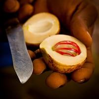 Nutmeg