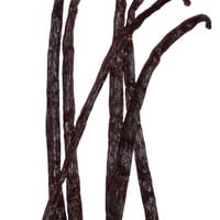 Vanilla