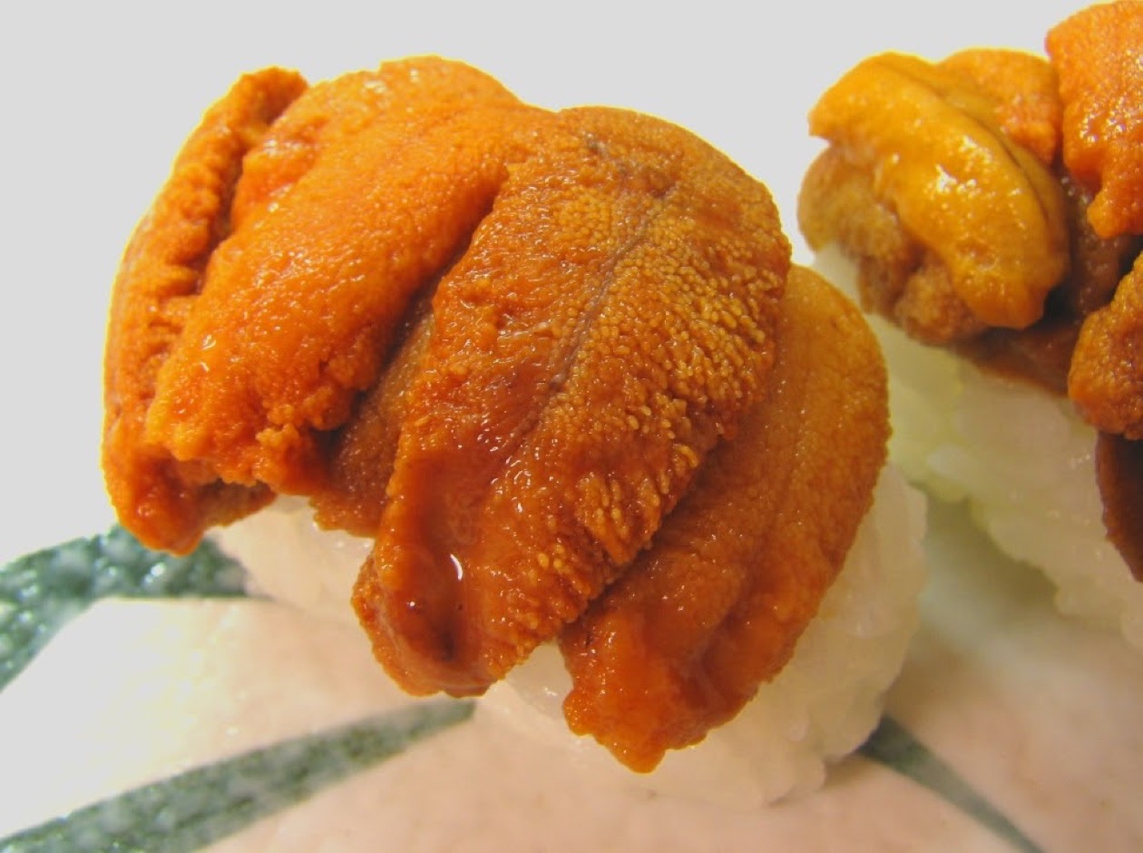 Two pieces of uni nigiri on a white background, close-up
